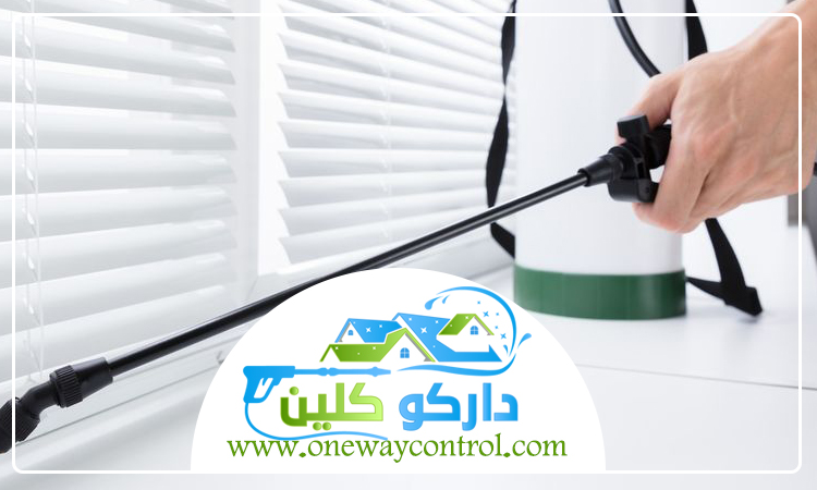 شركة مكافحه الوزغ بمكة 5 شركة مكافحه الوزغ بمكة