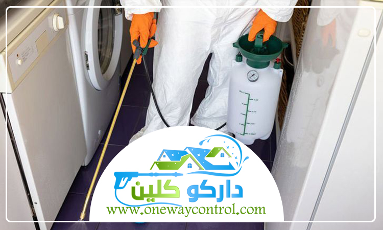 شركة مكافحه النمل الابيض بمكة 4 شركة مكافحه النمل الابيض بمكة