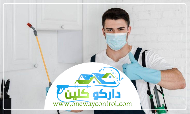 شركة مكافحه النمل الابيض بمكة 13 شركة مكافحه النمل الابيض بمكة