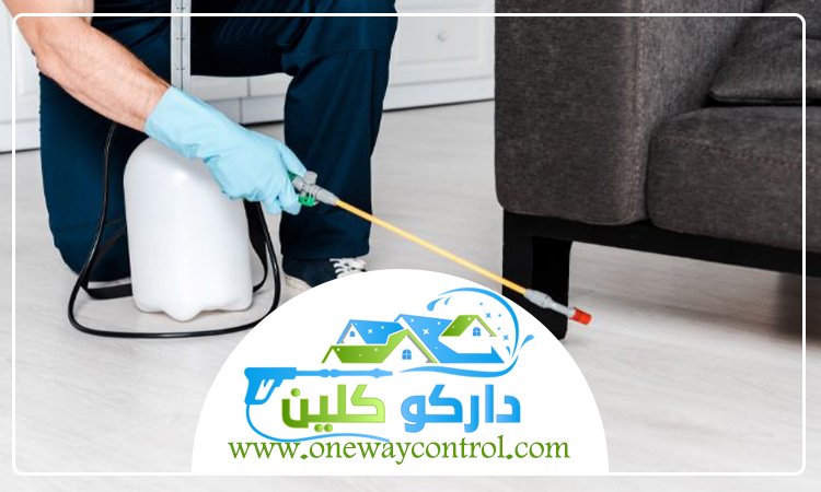 شركة مكافحه النمل الابيض بمكة 5 شركة مكافحه النمل الابيض بمكة