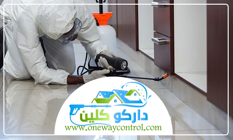 شركة مكافحة النمل الابيض بمكة 3 شركة مكافحة النمل الابيض بمكة