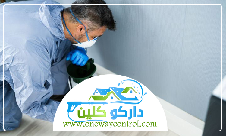 شركة مكافحة النمل الابيض بمكة 4 شركة مكافحة النمل الابيض بمكة