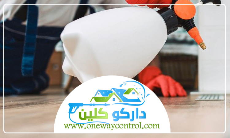 شركة مكافحة الوزغ بمكة 5 شركة مكافحة الوزغ بمكة