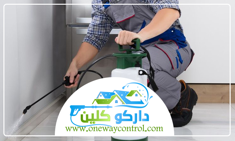 شركة مكافحه النمل الابيض بمكة 3 شركة مكافحه النمل الابيض بمكة